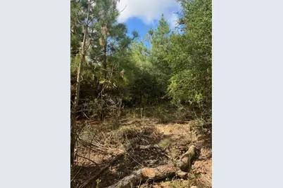 Lots 1338 and 1339 Tahitian Drive, Bastrop, TX 78602 - Photo 4
