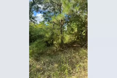Lots 1338 and 1339 Tahitian Drive, Bastrop, TX 78602 - Photo 1