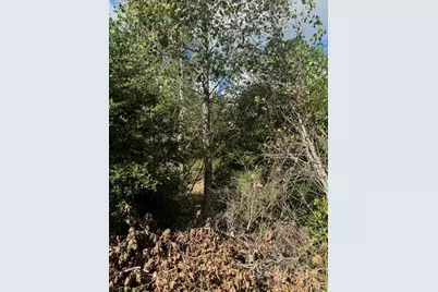 Lots 1338 and 1339 Tahitian Drive, Bastrop, TX 78602 - Photo 8