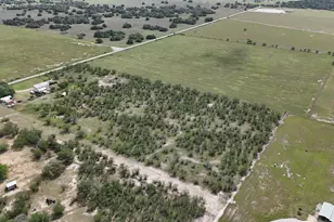 3210 Co Rd 226, Giddings, TX 78942 - Photo 34