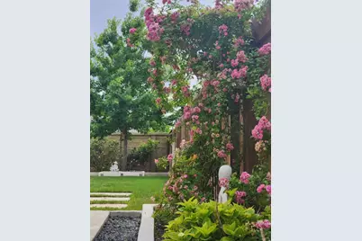 4500 Brandon Court, Round Rock, TX 78681 - Photo 12