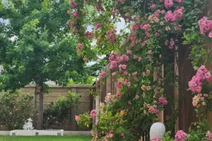 4500 Brandon Ct, Round Rock, TX 78681 - Photo 12