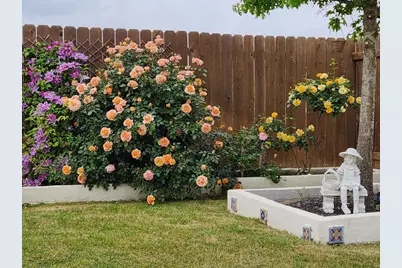 4500 Brandon Court, Round Rock, TX 78681 - Photo 24