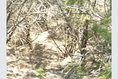 21000 High Drive, Lago Vista, TX 78645 - Photo 6