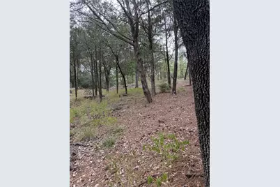 Lot 289 Aka Court, Bastrop, TX 78602 - Photo 1
