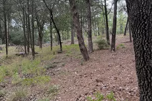 Lot 289 Aka Ct, Bastrop, TX 78602 - Photo 1