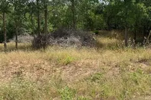 108 W Kikipua Ln, Bastrop, TX 78602 - Photo 1