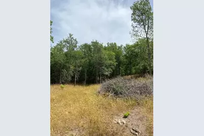108 W Kikipua Lane, Bastrop, TX 78602 - Photo 4