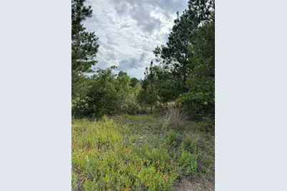 Lots 89-90 Pintail Lane, Bastrop, TX 78602 - Photo 4