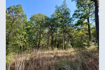 109 and 115 Olomana Court, Bastrop, TX 78602 - Photo 6
