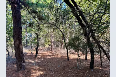 109 and 115 Olomana Court, Bastrop, TX 78602 - Photo 16