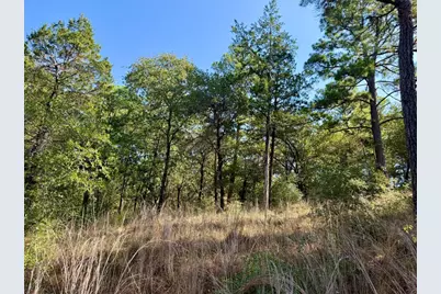 109 and 115 Olomana Court, Bastrop, TX 78602 - Photo 6