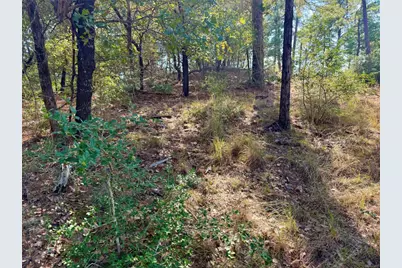 109 and 115 Olomana Court, Bastrop, TX 78602 - Photo 12