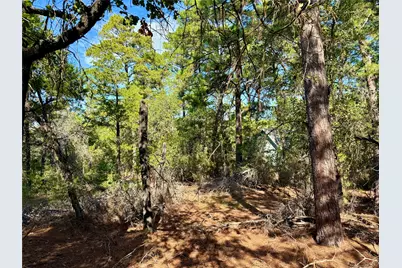 109 and 115 Olomana Court, Bastrop, TX 78602 - Photo 14