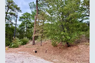 109 and 115 Olomana Court, Bastrop, TX 78602 - Photo 2