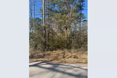 [Address not provided], Montgomery, TX 77356 - Photo 4