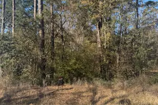 [Address not provided], Montgomery, TX 77356 - Photo 4