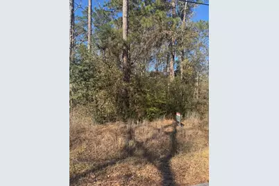 [Address not provided], Montgomery, TX 77356 - Photo 2