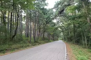 [Address not provided], Montgomery, TX 77356 - Photo 6