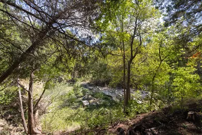 124 Sea Smoke Cove, Liberty Hill, TX 78642 - Photo 22