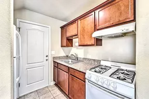 338 Trestle Tree, San Marcos, TX 78666 - Photo 8