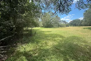 808 Indian Tree Trail, Austin, TX 78748 - Photo 6