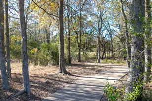 311 Maddy Wy, Bastrop, TX 78602 - Photo 14