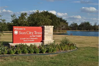 247 Bonham Loop, Georgetown, TX 78633 - Photo 26