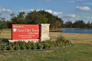 247 Bonham Loop, Georgetown, TX 78633 - Photo 26