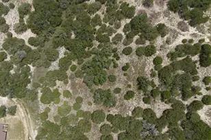 Lot 645 Wagon Wheel Trail, Bertram, TX 78605 - Photo 16