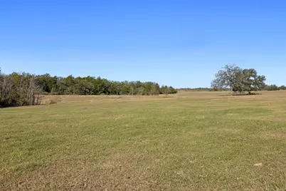 Tbd Stockade Ranch Road, Paige, TX 78659 - Photo 10