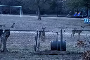 11712 Natrona Dr, Austin, TX 78759 - Photo 32