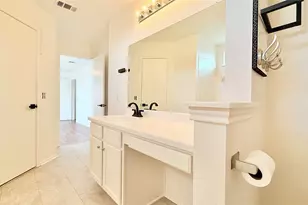 15209 Mimebark Way, Austin, TX 78724 - Photo 26