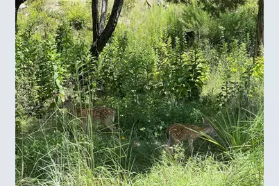 4908 Arrowhead Drive, Lago Vista, TX 78645 - Photo 1