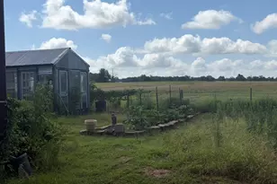 1226 Co Rd 316, Lexington, TX 78947 - Photo 16