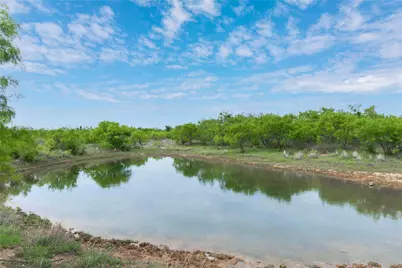 182 County Road 430 Road, Mullin, TX 76864 - Photo 26