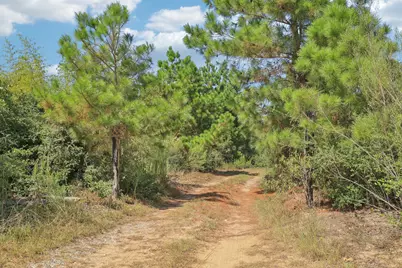 122 Rolling Pines Drive, Smithville, TX 78957 - Photo 34