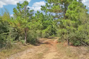 122 Rolling Pines Dr, Smithville, TX 78957 - Photo 34