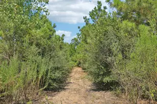 122 Rolling Pines Dr, Smithville, TX 78957 - Photo 30