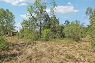 122 Rolling Pines Dr, Smithville, TX 78957 - Photo 26