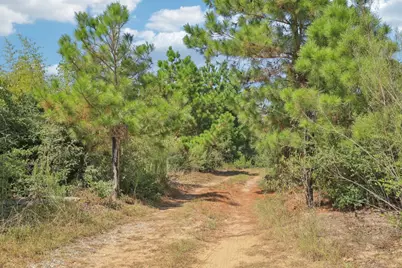 122 Rolling Pines Drive, Smithville, TX 78957 - Photo 34