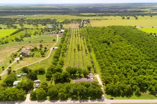 3717 Buck Ln, Garfield, TX 78617 - Photo 2