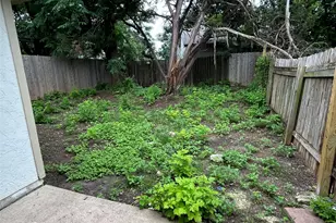 1235 Armadillo Rd, Austin, TX 78745 - Photo 18