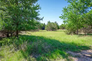 411 Avila Ln, Briggs, TX 78608 - Photo 32