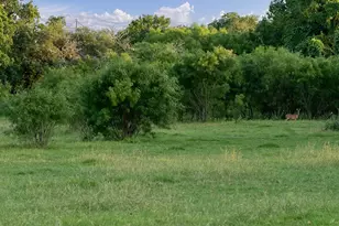 646 Victor Eckhardt Rd, Fredericksburg, TX 78624 - Photo 14