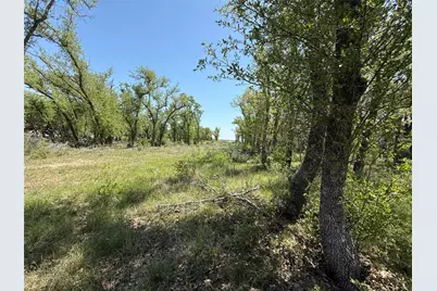 Lot 106 E Flying Owl Drive, Johnson City, TX 78636 - Photo 4