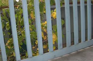 303 W 35th St, Austin, TX 78705 - Photo 8