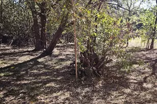 1 Davis St, Wimberley, TX 78676 - Photo 6