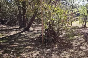 1 Davis St, Wimberley, TX 78676 - Photo 6