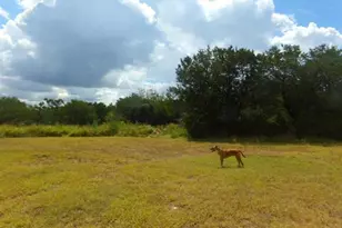 155 Cherry Ridge, Burnet, TX 78611 - Photo 24